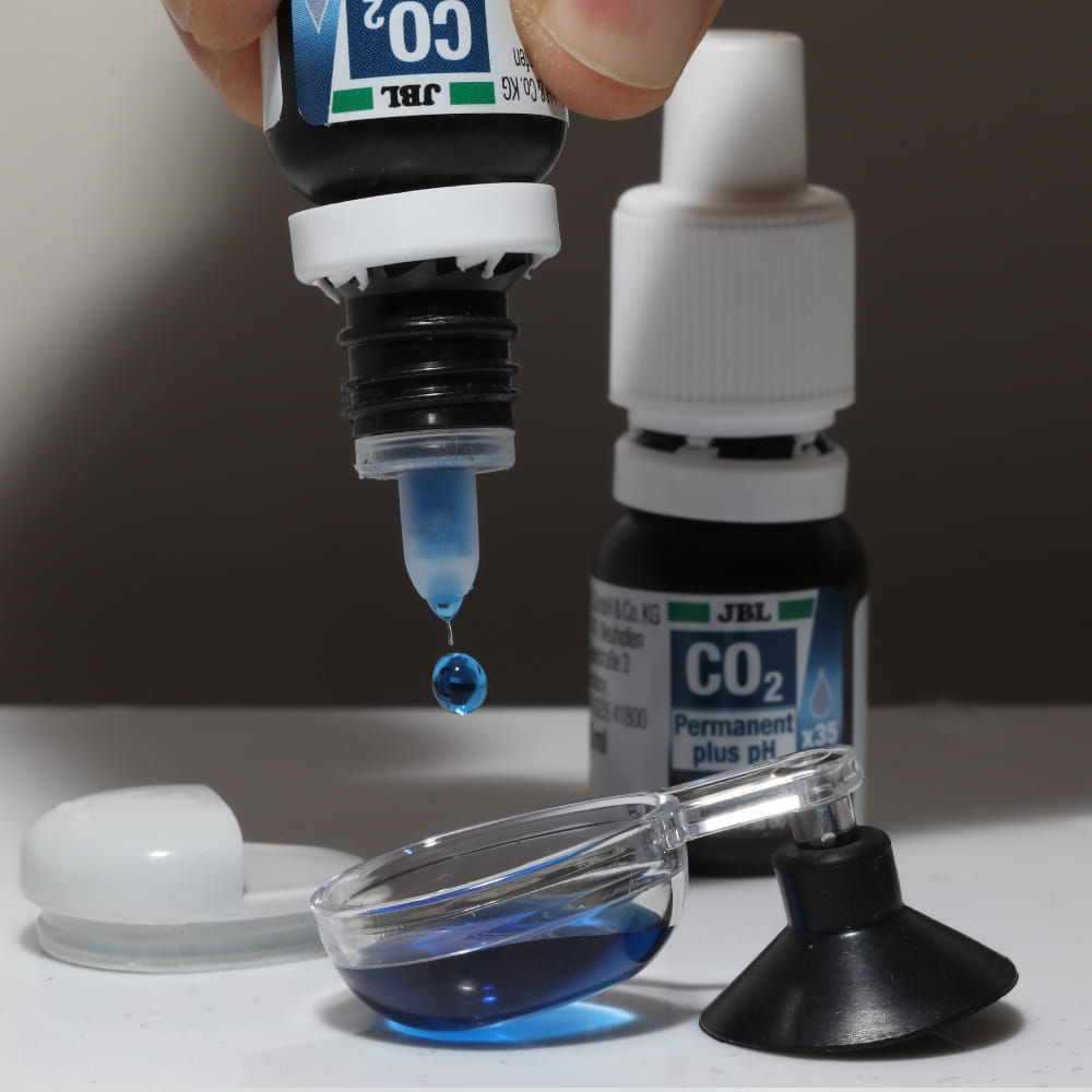 co2 perm4.jpg